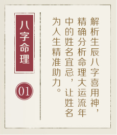 安岳起名流程一